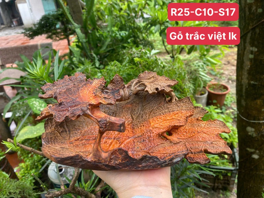 GIỎ BÍ NGÔ 01