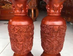 Lục bình Cữu Long mẫu 01