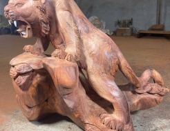 Mãnh Hổ gầm mồi 02