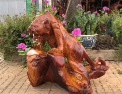Mãnh Hổ gầm mồi 02